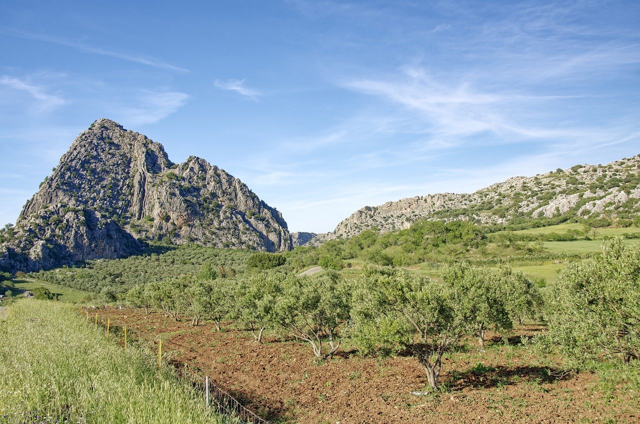 Explorando Sierra de Grazalema en 3 días